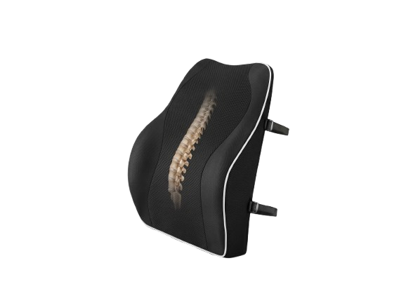 Travel Ease Ergonomic Cushion